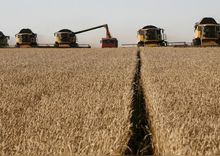 Bloomberg: На еде Россия заработала больше, чем на оружии Bloomberg: На еде Россия заработала больше, чем на оружии